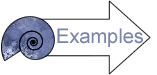 Examples
