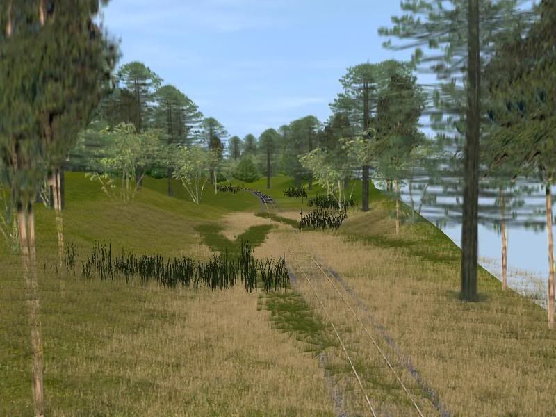 rr2.jpg