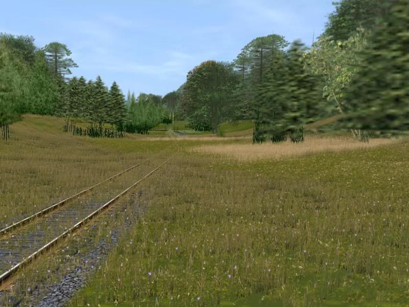 trainz2008-07-2104-24-27-77.jpg