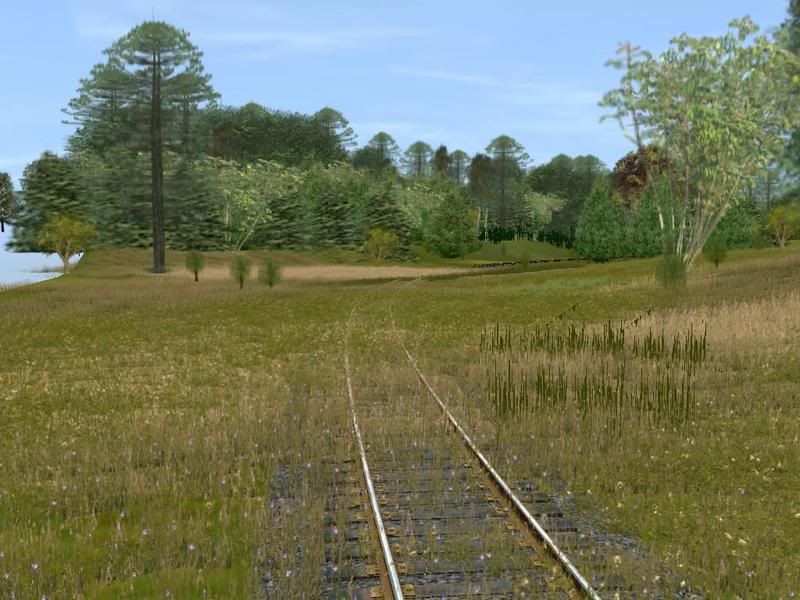 trainz2008-07-2104-24-55-89.jpg