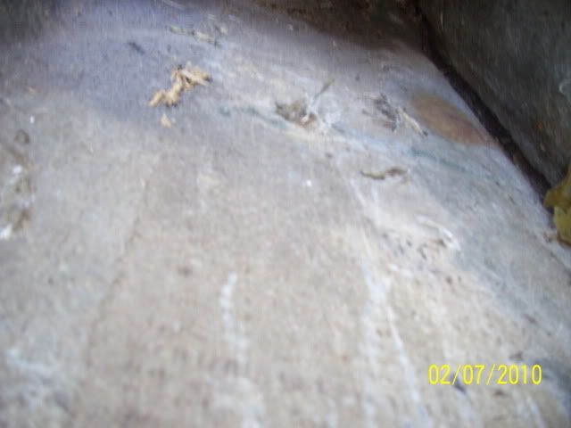 100_0771.jpg