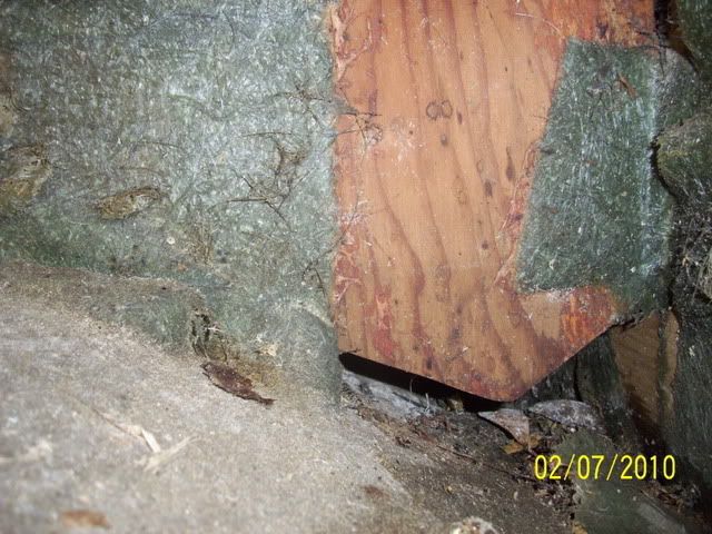 100_0772.jpg