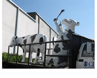 BR20Cows20in20a20truck20copy.jpg