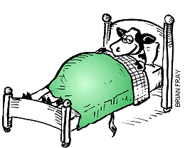 Cowbed.gif
