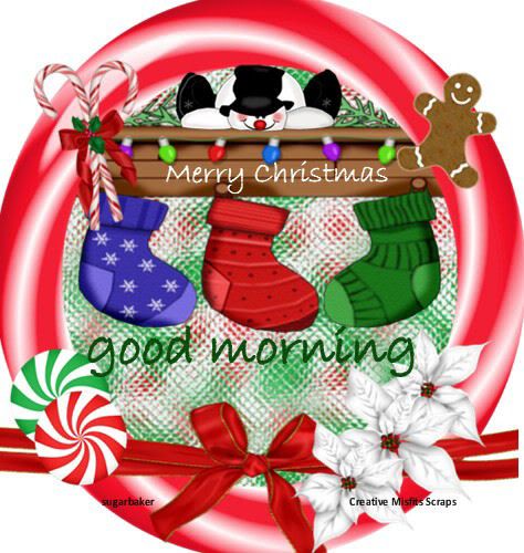 good morning christmas photo: Good Morning Candycane6.jpg