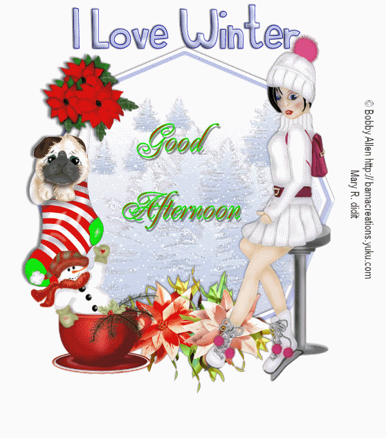 IlovewinterGoodAfternoon.gif