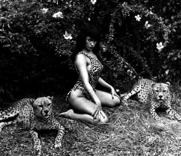 bettie-page-jungle-leopard-bunny-yeager1.jpg