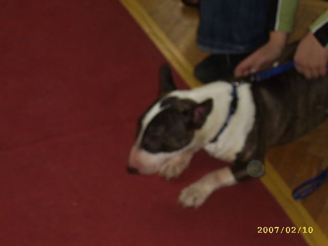 Obrazek