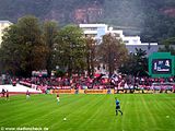 Club-Fans