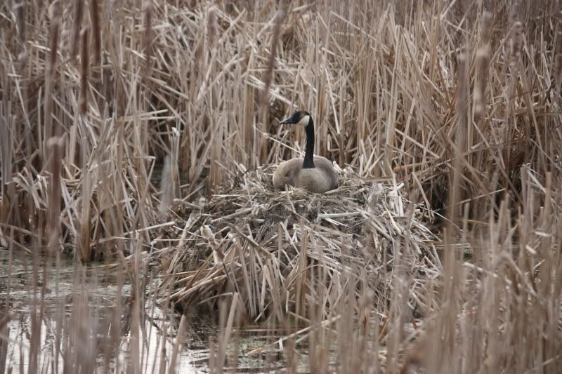 The Warmest Winter Jackets – Arctic Parka Jackets | karri8742atseem