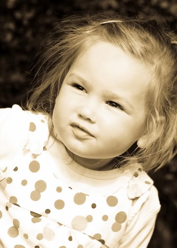 IMAGE: http://i55.photobucket.com/albums/g126/snoop69/Photo%20Album/AntiqueGrey_pp.jpg