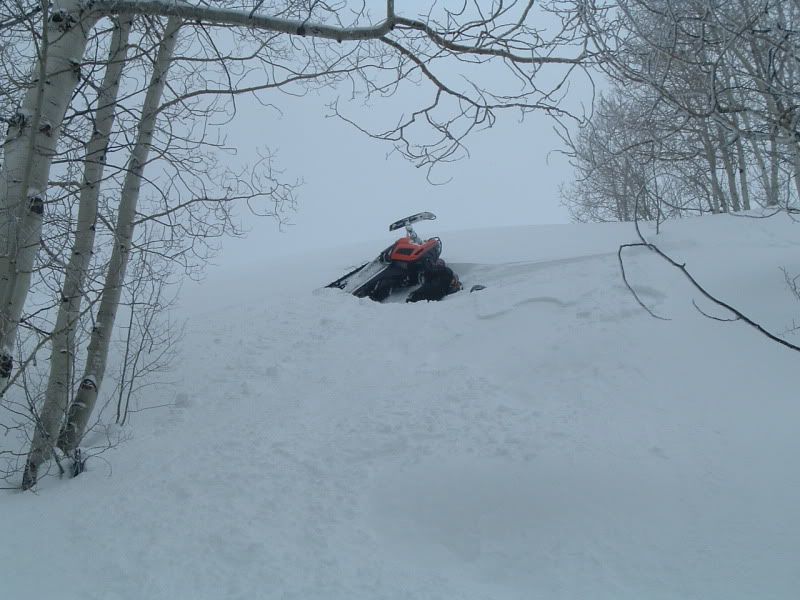 Jan2011sledding061.jpg