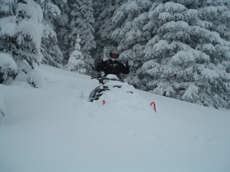 sleding1-24049.jpg