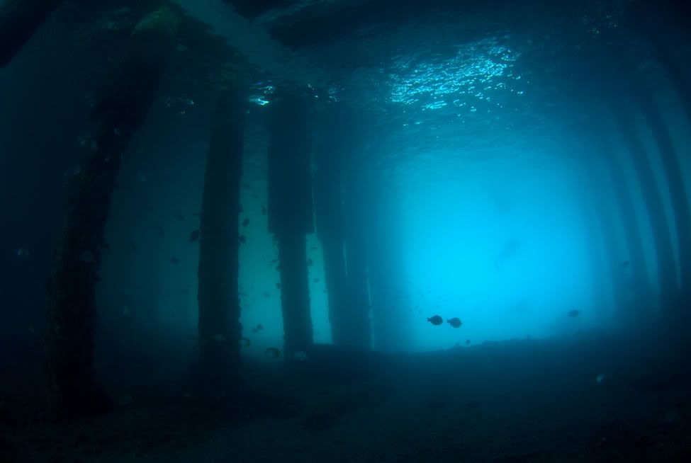 Underbridge3s.jpg