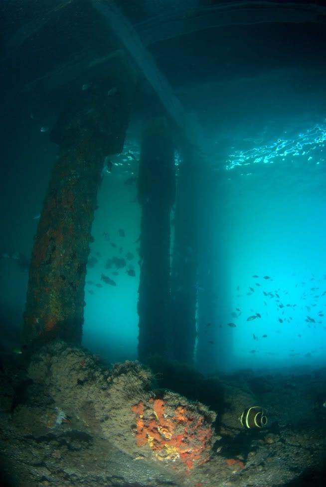 underbridge1s.jpg