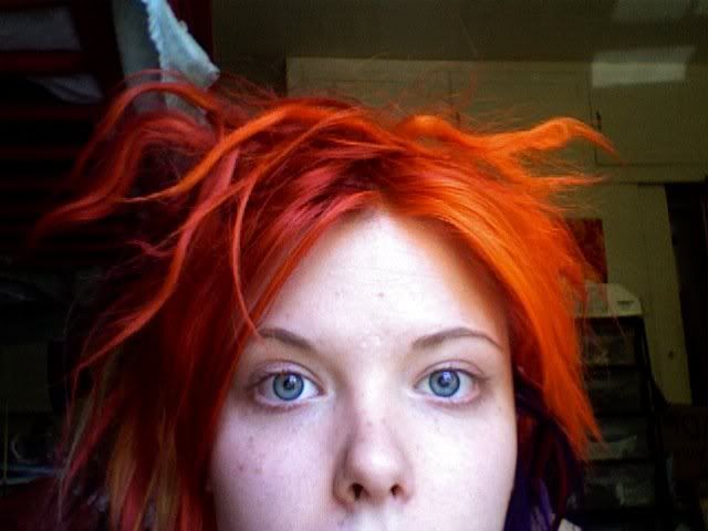 copper orange hair color. Honey+orange+hair+ orange hair colour. copper orange hair color. reddish