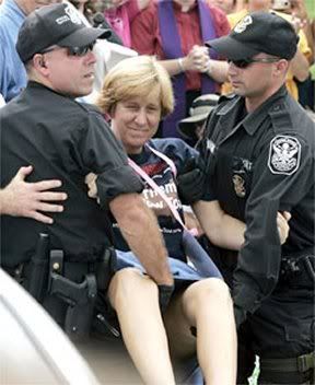cindy sheehan Pictures, Images and Photos