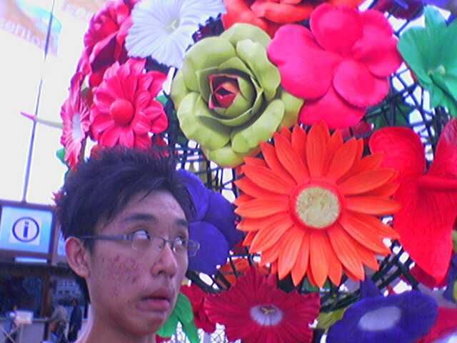 Photobucket - Video and Image Hosting