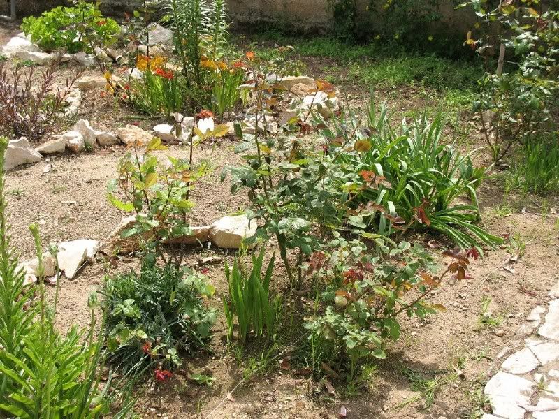 Giardinoanteriore001.jpg