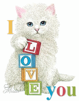 cat love u