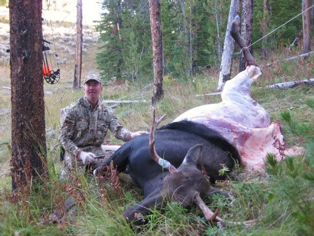 moosehunt027.jpg