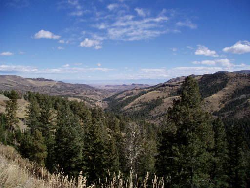 wolf creek pass lookalike