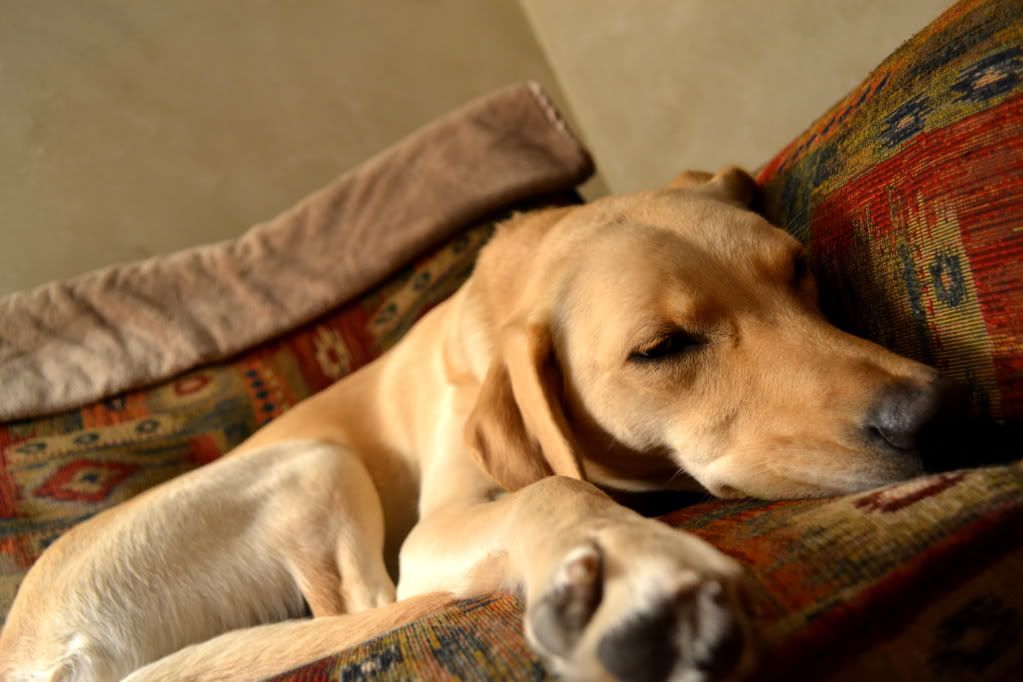 DSC_0075.jpg