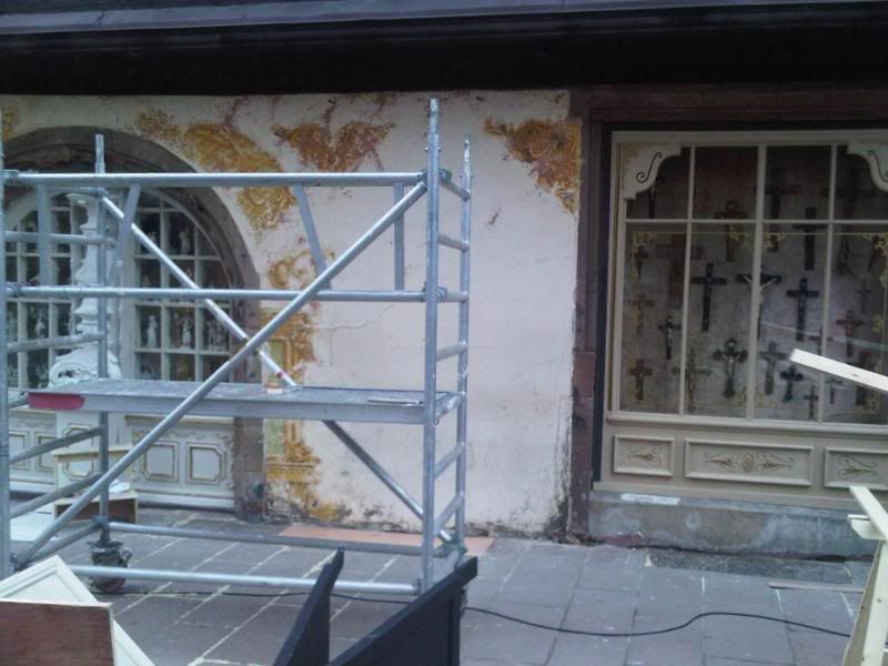 IMG00483-20110129-1459.jpg