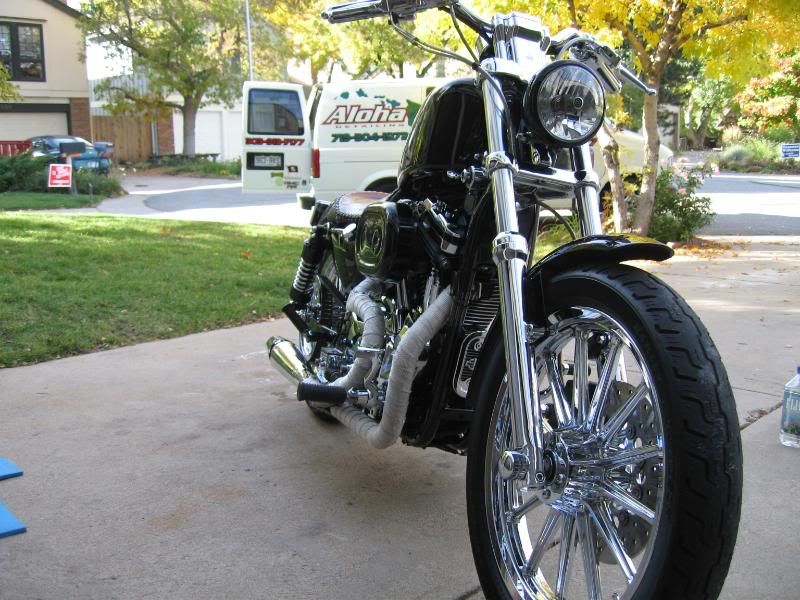 Charliessportster009.jpg