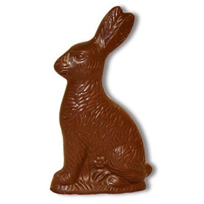  photo candy_chocolate_bunny.jpg