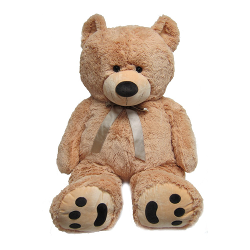  photo teddybear.png