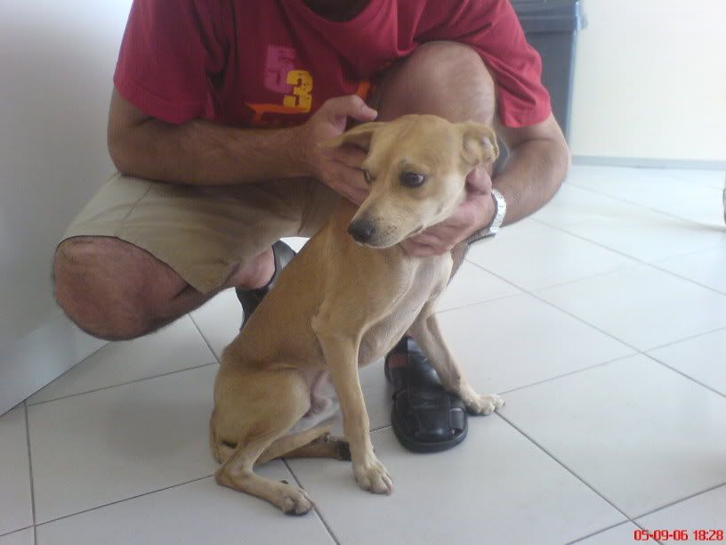 Imagem