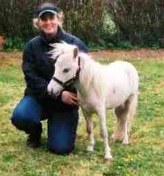 silver and gray horse example2