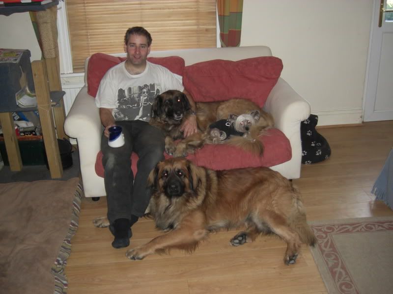 IMAGE(http://i55.photobucket.com/albums/g139/Lipigirl/Aslan/PICT0010.jpg)