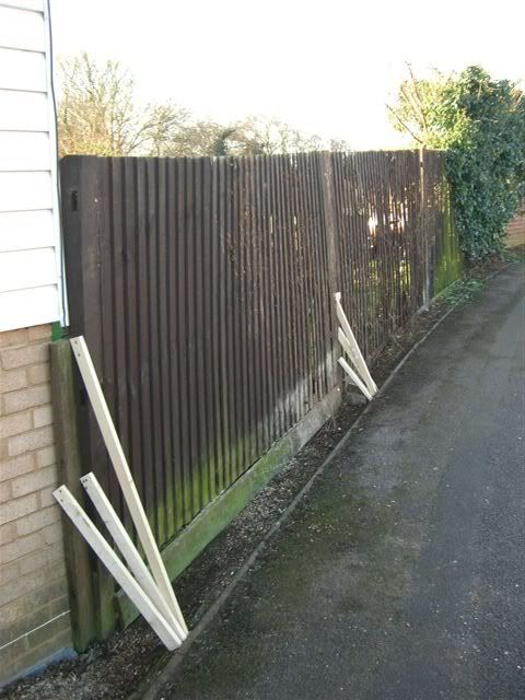 fence6.jpg