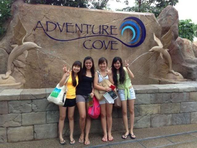  photo 1013998_10151688553729556_1917844679_n.jpg