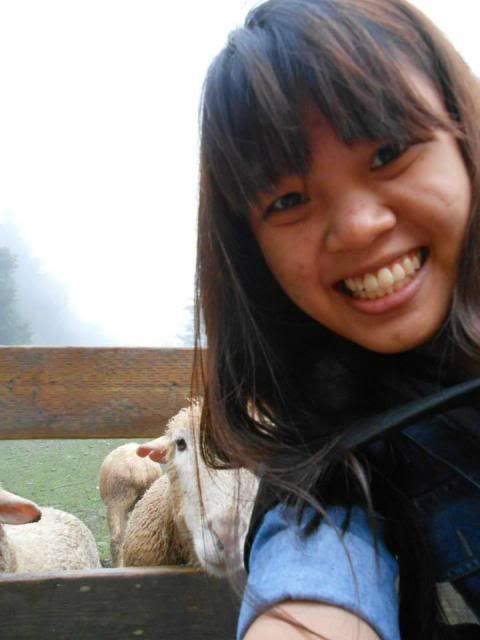  photo 252297_647211515296344_2097428684_n.jpg