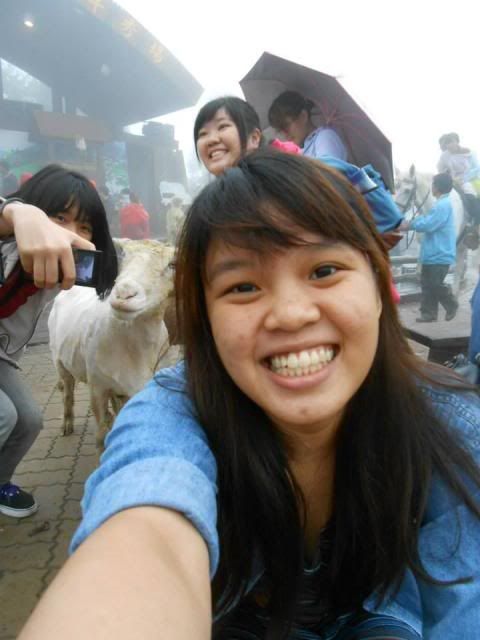  photo 293743_647213428629486_1947047132_n.jpg