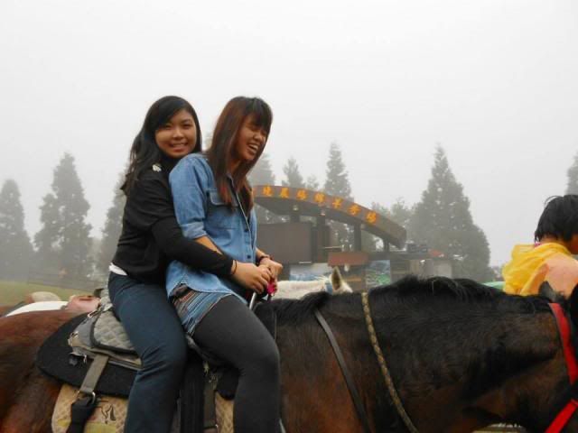  photo 401908_647211891962973_1344641686_n.jpg