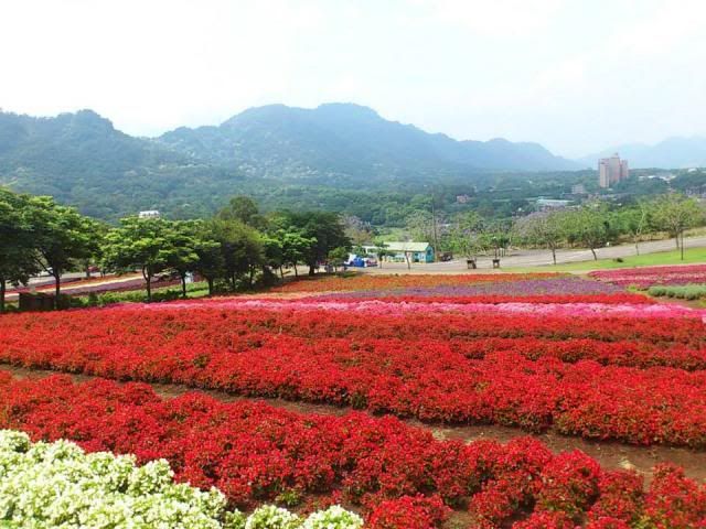  photo 575501_647211258629703_1106651669_n.jpg