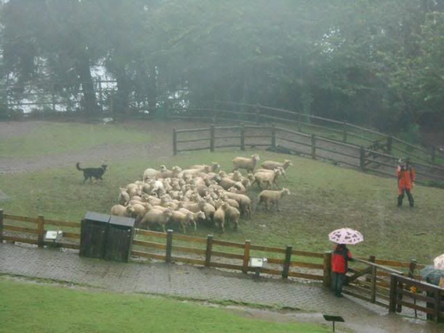  photo 575897_647217611962401_696377272_n.jpg