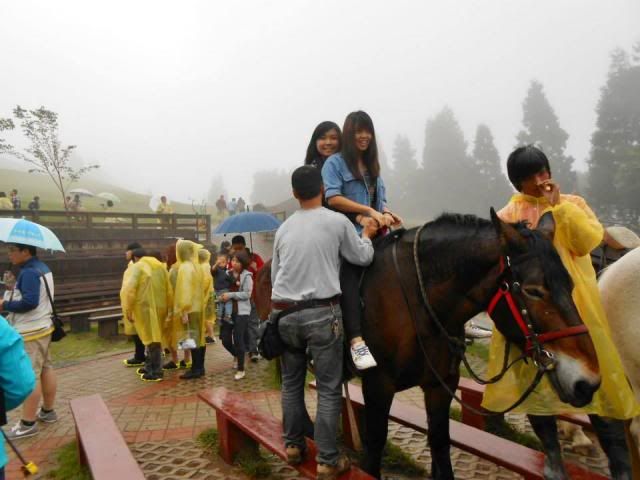  photo 580310_647211918629637_2052864954_n.jpg