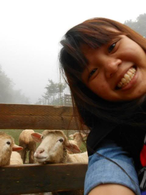  photo 922832_647211531963009_1144032123_n.jpg