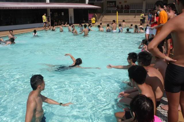  photo 965804_10151510744267690_708121851_o.jpg