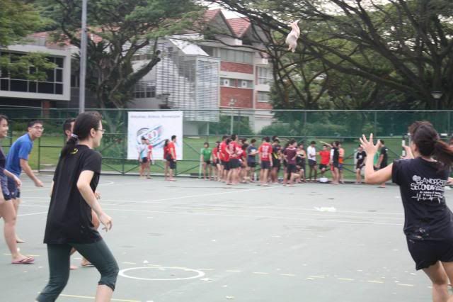  photo 966350_10151510484377690_352159967_o.jpg