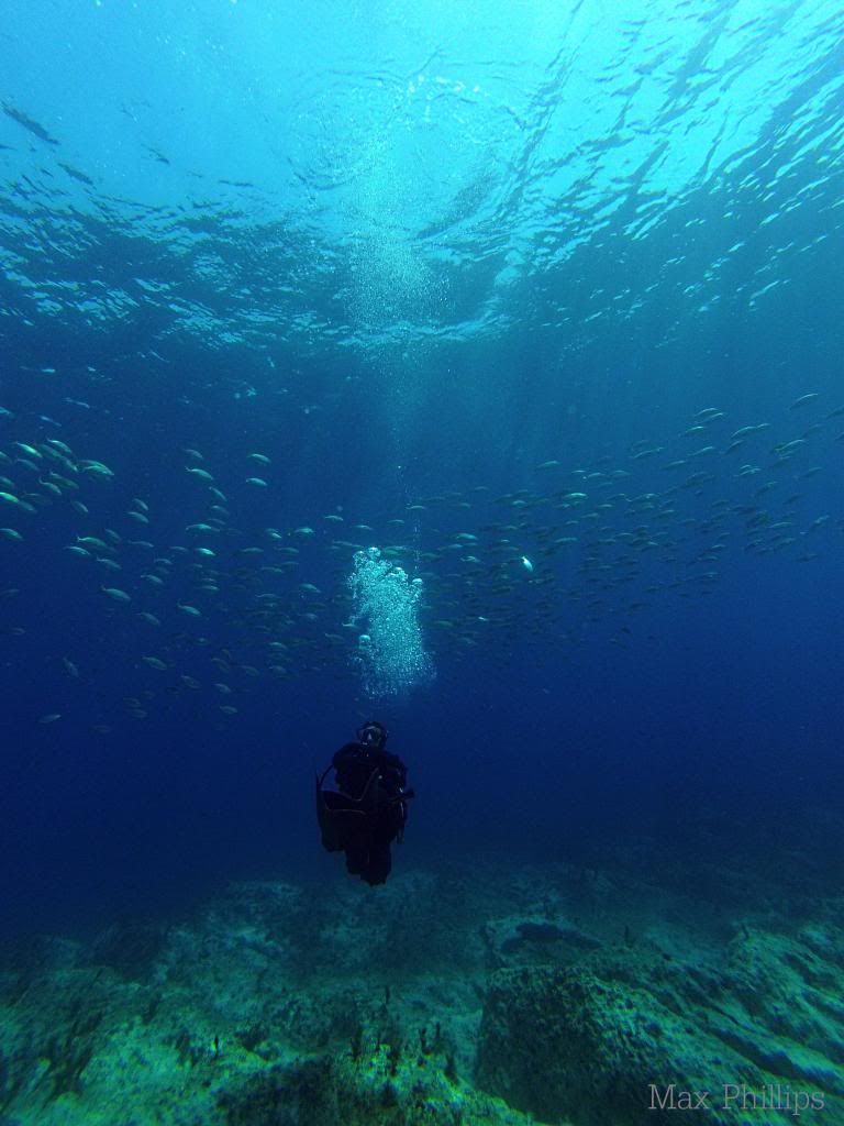 Swimmingwiththefish.jpg