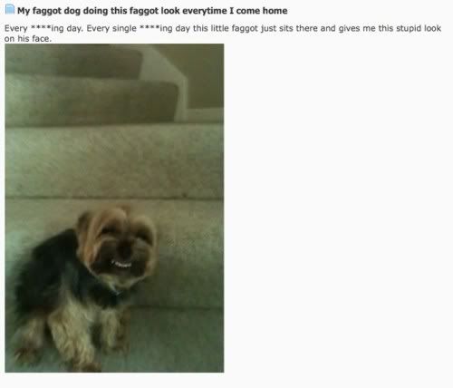 dog.jpg