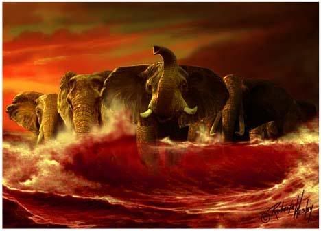 A Crimson Tide Pictures, Images and Photos