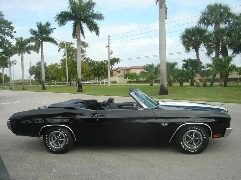 70 chevelle convertible - get domain pictures - getdomainvids.com