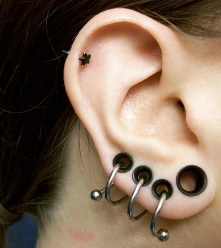 piercings images. piercings. i55.photobucket.com